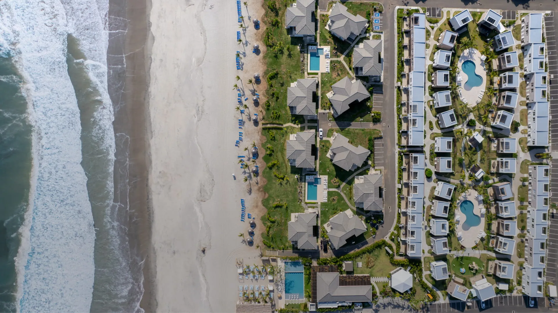 Vista de la alberca exterior con palmas alrededor y casas al fondo